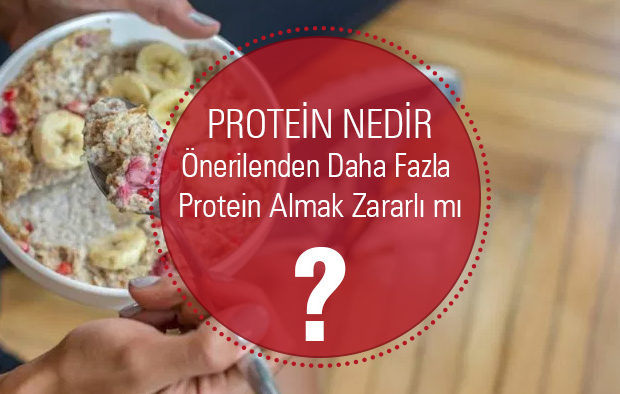 protein nedir